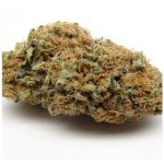 Шишки AK47 (Гидропоника, Бошка) VHQ в Прокопьевске Шишки AK47 (Гидропоника, Бошка) VHQ в Прокопьевске