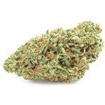 Шишки OG Kush (Гидропоника, бошки) VHQ в Прокопьевске Шишки OG Kush (Гидропоника, бошки) VHQ в Прокопьевске